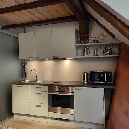 Old Town's Charming Attic Studio Apartment Tallinn