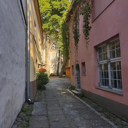 Old Town's Charming Attic Studio * Tallinn