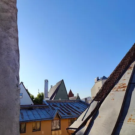 Old Town's Charming Attic Studio *