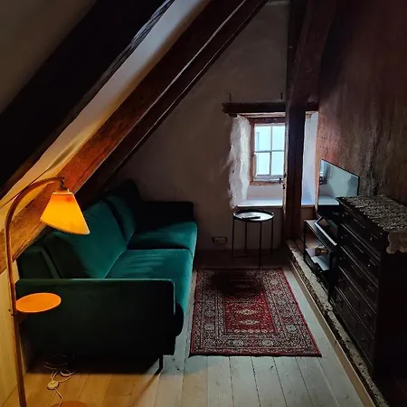 Old Town's Charming Attic Studio Apartment Tallinn